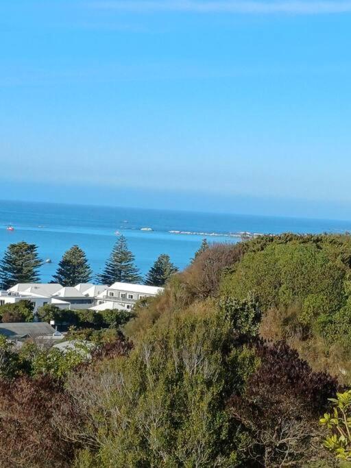 הוילה קאיקורה Bayviewonwhitby מראה חיצוני תמונה